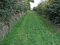 futur trail 031